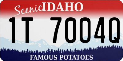 ID license plate 1T7004Q