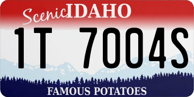 ID license plate 1T7004S