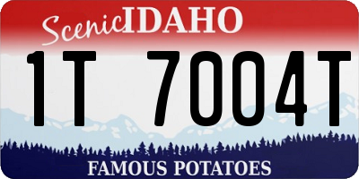 ID license plate 1T7004T