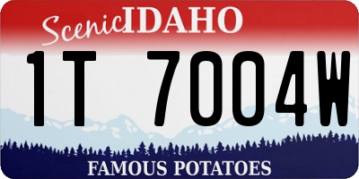 ID license plate 1T7004W