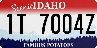ID license plate 1T7004Z
