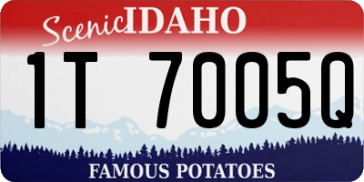 ID license plate 1T7005Q
