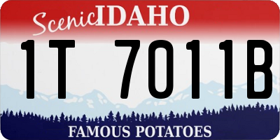 ID license plate 1T7011B