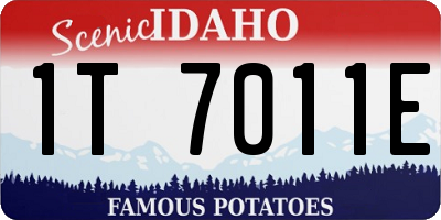 ID license plate 1T7011E