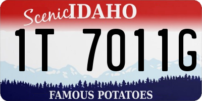 ID license plate 1T7011G
