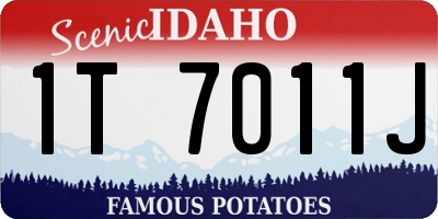 ID license plate 1T7011J