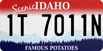 ID license plate 1T7011N