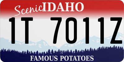 ID license plate 1T7011Z
