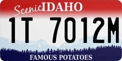 ID license plate 1T7012M