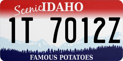 ID license plate 1T7012Z