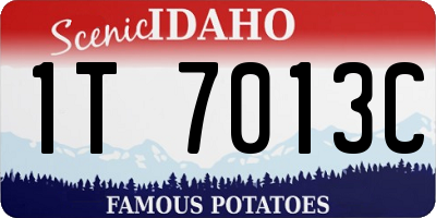 ID license plate 1T7013C