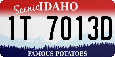 ID license plate 1T7013D