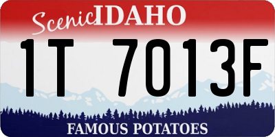 ID license plate 1T7013F