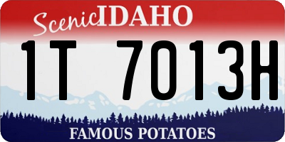 ID license plate 1T7013H