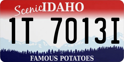 ID license plate 1T7013I