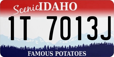 ID license plate 1T7013J