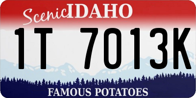 ID license plate 1T7013K