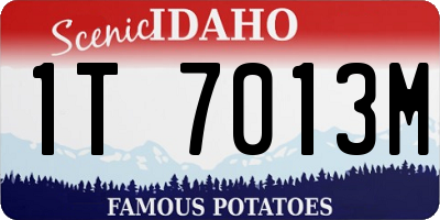 ID license plate 1T7013M