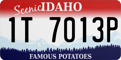 ID license plate 1T7013P