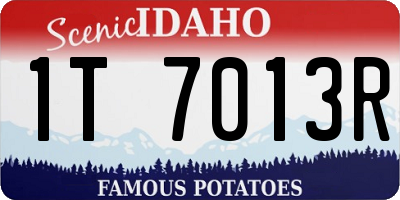 ID license plate 1T7013R
