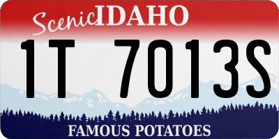 ID license plate 1T7013S