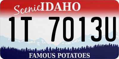 ID license plate 1T7013U