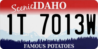 ID license plate 1T7013W