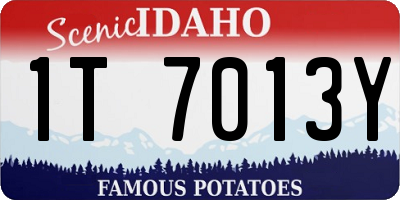 ID license plate 1T7013Y
