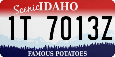 ID license plate 1T7013Z