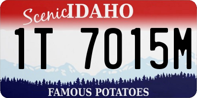 ID license plate 1T7015M