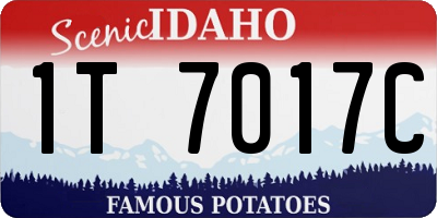 ID license plate 1T7017C