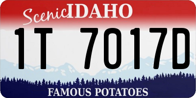 ID license plate 1T7017D