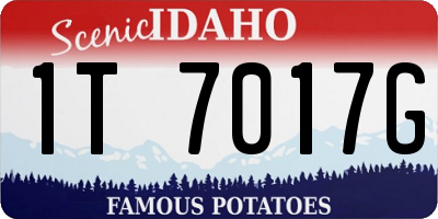 ID license plate 1T7017G