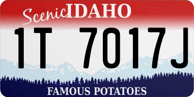ID license plate 1T7017J