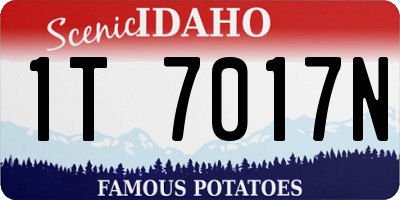 ID license plate 1T7017N