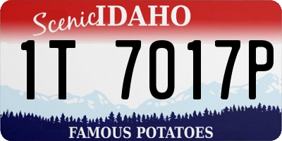 ID license plate 1T7017P