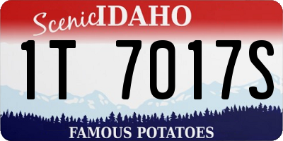 ID license plate 1T7017S