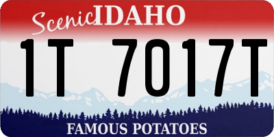 ID license plate 1T7017T