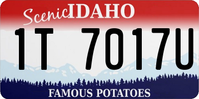 ID license plate 1T7017U