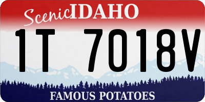 ID license plate 1T7018V