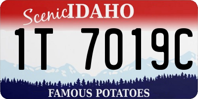 ID license plate 1T7019C