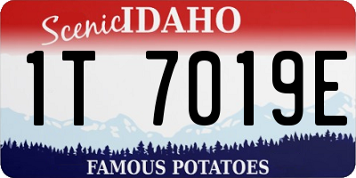 ID license plate 1T7019E