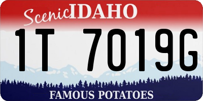 ID license plate 1T7019G
