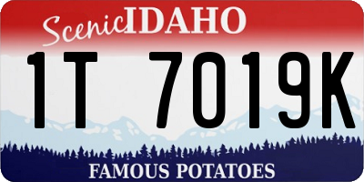 ID license plate 1T7019K