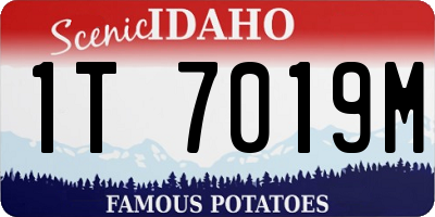 ID license plate 1T7019M