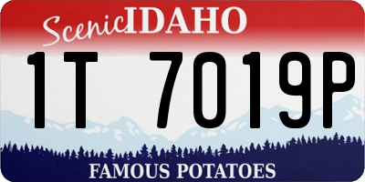 ID license plate 1T7019P