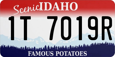 ID license plate 1T7019R