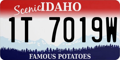 ID license plate 1T7019W