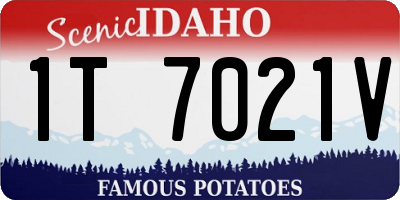 ID license plate 1T7021V