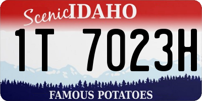 ID license plate 1T7023H